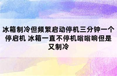 冰箱制冷但频繁启动停机三分钟一个停启机 冰箱一直不停机嗡嗡响但是又制冷